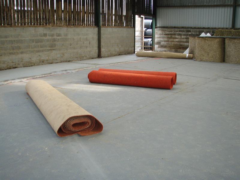 More carpet.jpg